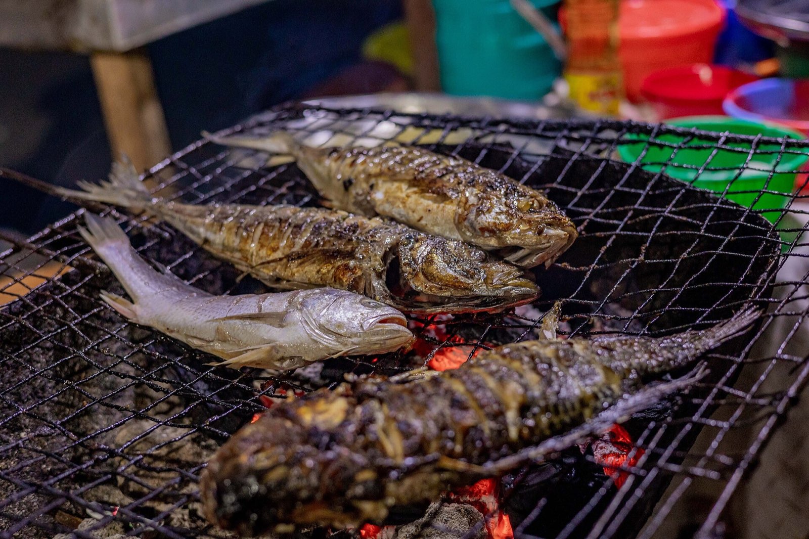 Poissons braisés sur la braise